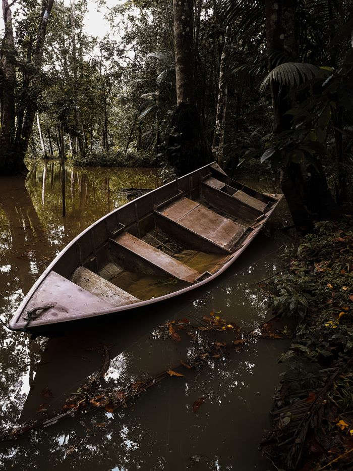A derelict boat rests quietly in a tranquil forest swamp, surrounded by lush greenery.